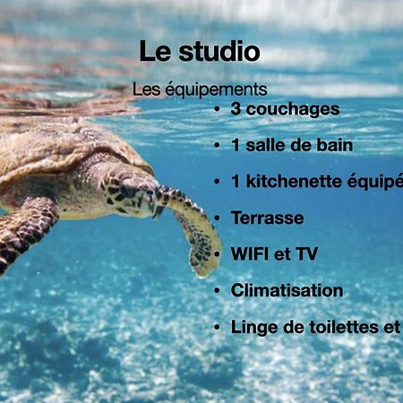 Studio Hippocampe P&V Sainte-Luce Eksteriør billede