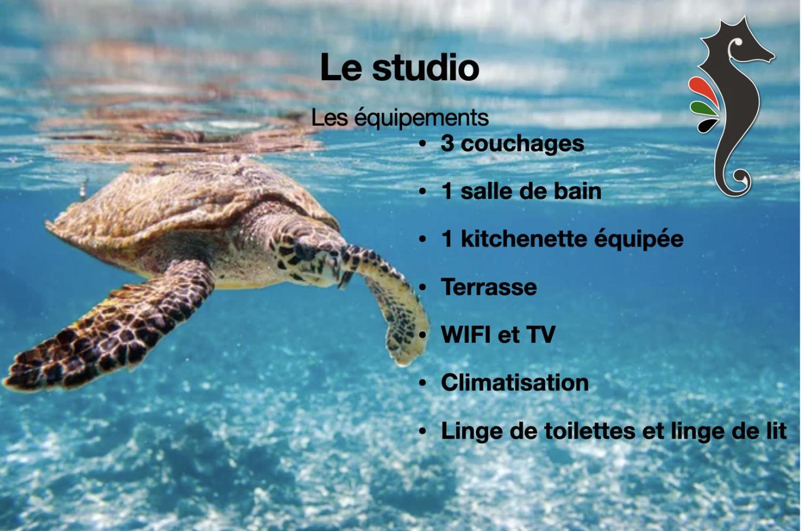 Studio Hippocampe P&V Sainte-Luce Eksteriør billede